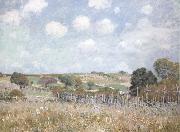 Alfred Sisley Ang France oil painting artist